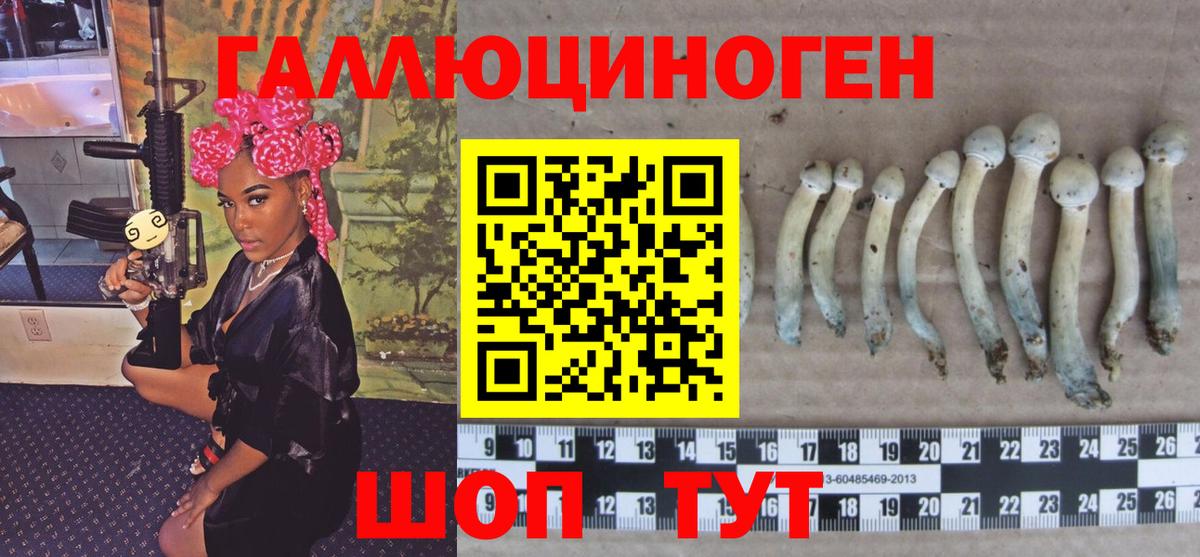 Псилоцибиновые грибы Magic Shrooms Краснодар