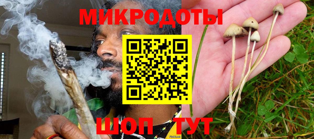 Галлюциногенные грибы MAGIC MUSHROOMS  Вход с VPN  Краснодар 